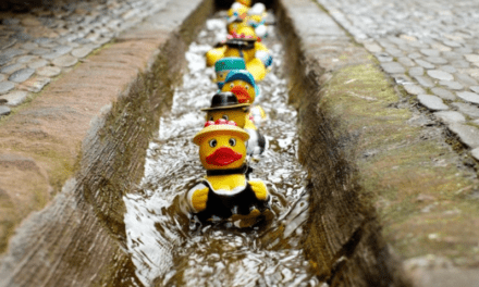 Stop procrastinating and get your PR ducks in a row’ now!