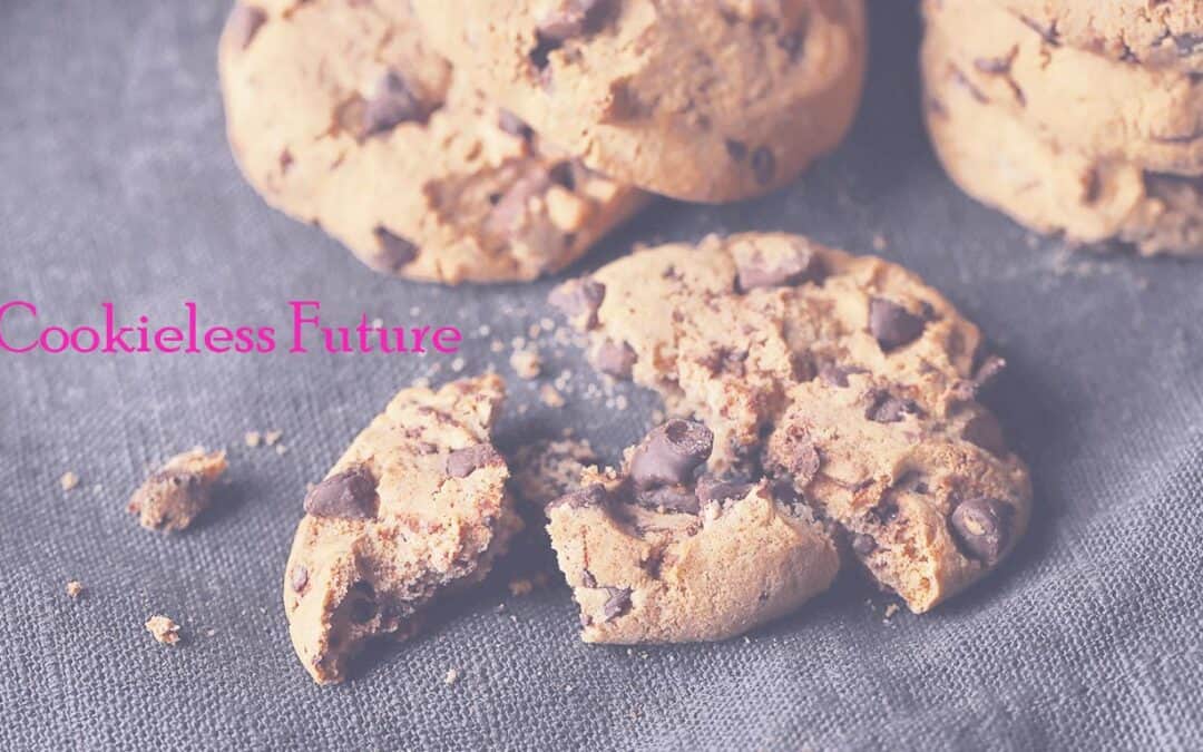 Preparing Businesses For A Cookieless Future